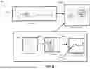 Fig. 95 - INTERPRETING FACIAL SKIN MOVEMENTS FROM LIGHT REFLECTIONS