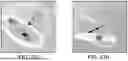 Fig. 41 - SOFTWARE WITH MOTION RECORDING FEATURE TO SIMPLIFY ANIMATION