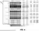 Fig. 07 - System and Methods for Predicting Polymer Properties