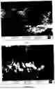 Fig. 02 - High-Rate Lithium Iron Phosphate Positive Electrode Material, Method for Preparing the Same, Positive Electrode and Battery Including The Same