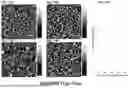 Fig. 08 - A-axis Josephson Junctions with Improved Contacts