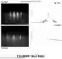 Fig. 13 - A-axis Josephson Junctions with Improved Contacts