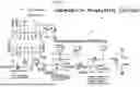 Fig. 16 - MATTER OF MANUFACTURE OF COMPRESSION LEGGING SYSTEM AND ASSOCIATED USES
