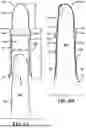 Fig. 07 - GLOVE WITH LONGITUDINAL STAYS