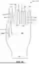 Fig. 09 - GLOVE WITH LONGITUDINAL STAYS
