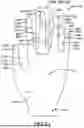 Fig. 18 - GLOVE WITH LONGITUDINAL STAYS