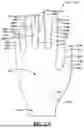 Fig. 19 - GLOVE WITH LONGITUDINAL STAYS