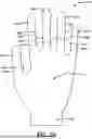 Fig. 27 - GLOVE WITH LONGITUDINAL STAYS