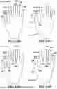 Fig. 29 - GLOVE WITH LONGITUDINAL STAYS