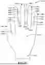 Fig. 39 - GLOVE WITH LONGITUDINAL STAYS