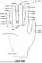 Fig. 40 - GLOVE WITH LONGITUDINAL STAYS
