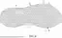 Fig. 09 - SOLE STRUCTURE FOR ARTICLE OF FOOTWEAR