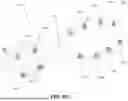 Fig. 18 - SOLE STRUCTURES AND ARTICLES OF FOOTWEAR HAVING CONFORMABLE HEEL COUNTER STRUCTURES