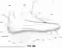 Fig. 23 - SOLE STRUCTURES AND ARTICLES OF FOOTWEAR HAVING CONFORMABLE HEEL COUNTER STRUCTURES
