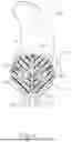 Fig. 06 - ARTICULATION SECTION FOR SHAFT ASSEMBLY OF SURGICAL INSTRUMENT
