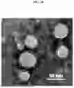 Fig. 05 - HEMOGLOBIN-BASED NANOPARTICLES