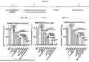 Fig. 17 - HEMOGLOBIN-BASED NANOPARTICLES