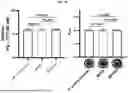 Fig. 22 - HEMOGLOBIN-BASED NANOPARTICLES