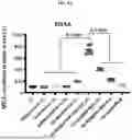 Fig. 29 - HEMOGLOBIN-BASED NANOPARTICLES