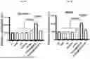 Fig. 33 - HEMOGLOBIN-BASED NANOPARTICLES
