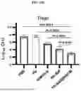 Fig. 44 - HEMOGLOBIN-BASED NANOPARTICLES