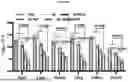 Fig. 56 - HEMOGLOBIN-BASED NANOPARTICLES