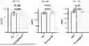 Fig. 63 - HEMOGLOBIN-BASED NANOPARTICLES