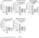 Fig. 20 - BRAIN STIMULATION SYSTEMS AND METHODS