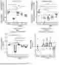 Fig. 24 - BRAIN STIMULATION SYSTEMS AND METHODS