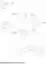 Fig. 29 - BICYCLIC COMPOUND AND APPLICATION THEREOF