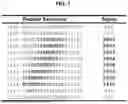 Fig. 02 - COMPLEMENT FACTOR H ANTIBODIES