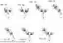 Fig. 02 - BISPECIFIC T CELL ACTIVATING ANTIGEN BINDING MOLECULES