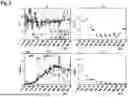 Fig. 07 - MODEL-BASED ANALYTICAL TOOL FOR BIOREACTORS