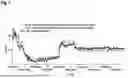 Fig. 09 - MODEL-BASED ANALYTICAL TOOL FOR BIOREACTORS