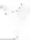 Fig. 11 - MAGNETIC SHOWER HEAD