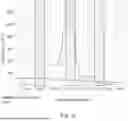 Fig. 09 - METHOD OF ANALYSING A SPECTRAL PEAK USING A NEURAL NETWORK