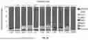 Fig. 02 - PERSONALIZED RANKING AND IDENTIFICATION OF ONCO-REACTIVE T CELL RECEPTORS AND USES THEREOF