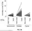 Fig. 05 - PERSONALIZED RANKING AND IDENTIFICATION OF ONCO-REACTIVE T CELL RECEPTORS AND USES THEREOF