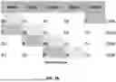 Fig. 06 - FABRIC FAULT TOLERANCE IN A CLUSTER USING AN RAID DESIGN