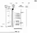 Fig. 16 - FABRIC FAULT TOLERANCE IN A CLUSTER USING AN RAID DESIGN