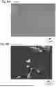 Fig. 07 - SINTERED ALUMINA MATERIAL AND ELECTROSTATIC CHUCK