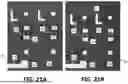 Fig. 20 - CONTROLLING ADHESIVE REFLOW FOR TRANSFER PRINTING