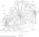 Fig. 05 - LOAD BALANCING FOR A SATELLITE NETWORK