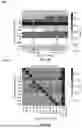 Fig. 13 - SPECTROGRAM BASED TIME ALIGNMENT FOR INDEPENDENT RECORDING AND PLAYBACK SYSTEMS