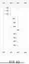 Fig. 13 - WIRELESS INTERFACING SYSTEM AND ASSOCIATED METHOD
