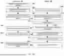 Fig. 21 - SECURITY SYSTEM ENROLLMENT