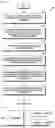 Fig. 05 - METHOD AND APPARATUS FOR MANAGING PENDING RE-AUTHENTICATION AND REAUTHORIZATION WITH DN-AAA SERVER