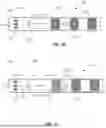 Fig. 03 - FLEXIBLE PRINTED CIRCUIT ROGOWSKI COIL