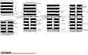 Fig. 08 - 3D NAND - HIGH ASPECT RATIO STRINGS AND CHANNELS