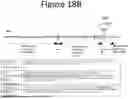 Fig. 33 - NON-HUMAN ANIMALS COMPRISING HUMANIZED ACE2 AND TMPRSS LOCI